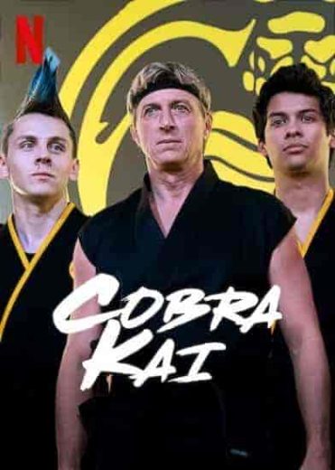 مسلسل Cobra Kai الموسم الثاني مترجم